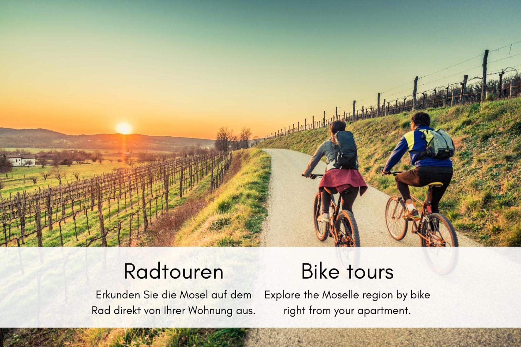 브렘 Winzerhaus Am Calmont - Raumwunder Mit Moselblick 아파트 외부 사진