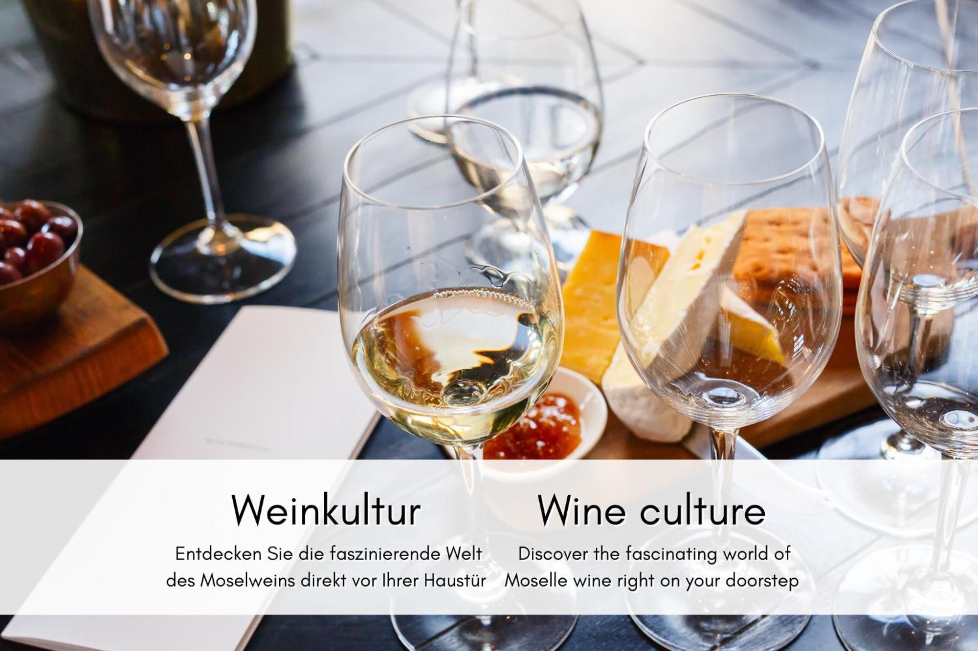 브렘 Winzerhaus Am Calmont - Raumwunder Mit Moselblick 아파트 외부 사진