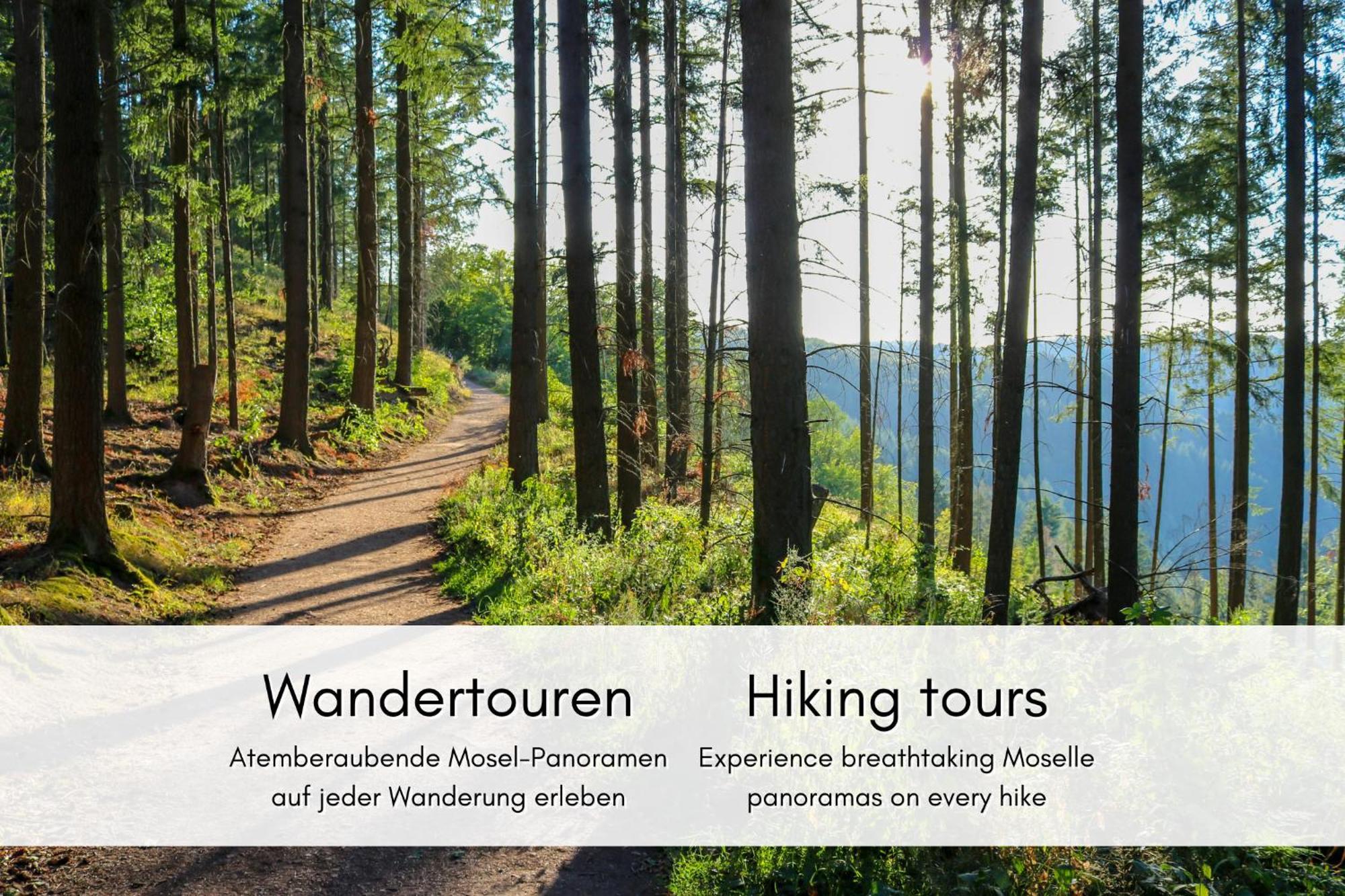 브렘 Winzerhaus Am Calmont - Raumwunder Mit Moselblick 아파트 외부 사진